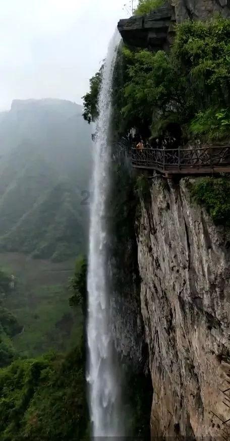 云上的歌